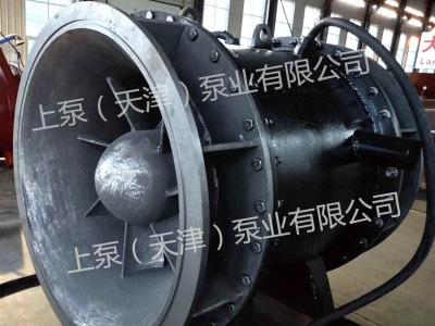 安徽合肥全贯流潜水泵-- 上泵（天津）泵业有限公司